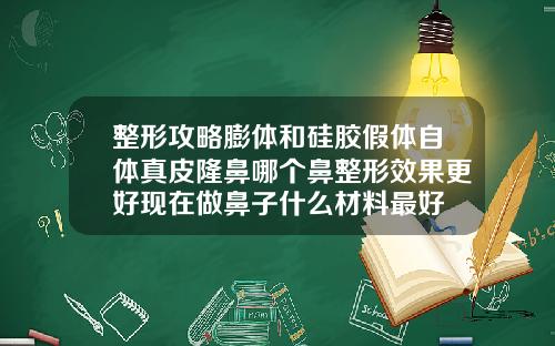 整形攻略膨体和硅胶假体自体真皮隆鼻哪个鼻整形效果更好现在做鼻子什么材料最好