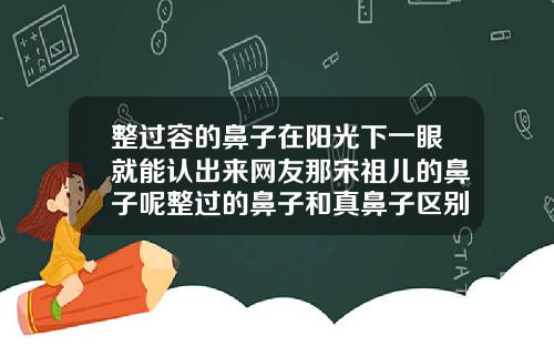整过容的鼻子在阳光下一眼就能认出来网友那宋祖儿的鼻子呢整过的鼻子和真鼻子区别
