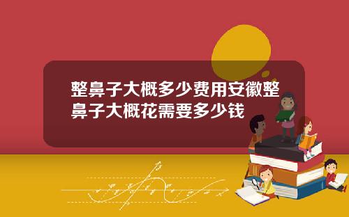整鼻子大概多少费用安徽整鼻子大概花需要多少钱
