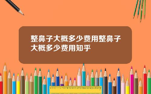 整鼻子大概多少费用整鼻子大概多少费用知乎
