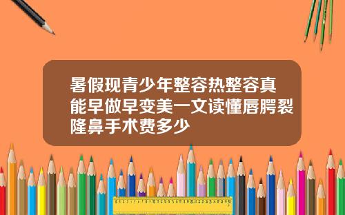 暑假现青少年整容热整容真能早做早变美一文读懂唇腭裂隆鼻手术费多少