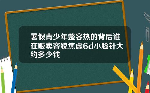 暑假青少年整容热的背后谁在贩卖容貌焦虑6d小脸针大约多少钱