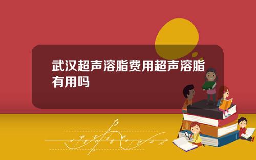 武汉超声溶脂费用超声溶脂有用吗