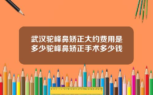 武汉驼峰鼻矫正大约费用是多少驼峰鼻矫正手术多少钱
