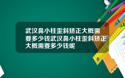 武汉鼻小柱歪斜矫正大概需要多少钱武汉鼻小柱歪斜矫正大概需要多少钱呢