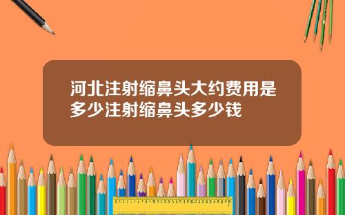 河北注射缩鼻头大约费用是多少注射缩鼻头多少钱
