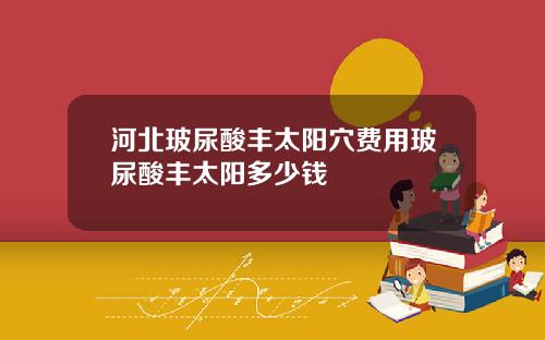 河北玻尿酸丰太阳穴费用玻尿酸丰太阳多少钱