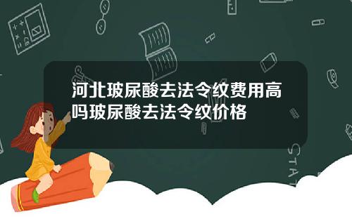 河北玻尿酸去法令纹费用高吗玻尿酸去法令纹价格