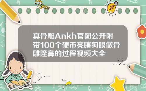 真骨雕Ankh官图公开附带100个硬币亮瞎狗眼做骨雕隆鼻的过程视频大全