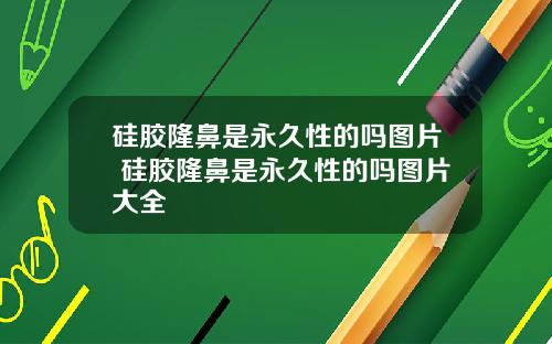 硅胶隆鼻是永久性的吗图片 硅胶隆鼻是永久性的吗图片大全
