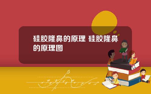 硅胶隆鼻的原理 硅胶隆鼻的原理图