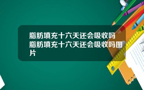 脂肪填充十六天还会吸收吗脂肪填充十六天还会吸收吗图片