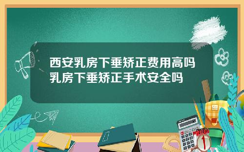 西安乳房下垂矫正费用高吗乳房下垂矫正手术安全吗
