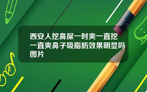 西安人挖鼻屎一时爽一直挖一直爽鼻子吸脂肪效果明显吗图片