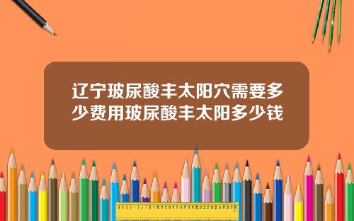 辽宁玻尿酸丰太阳穴需要多少费用玻尿酸丰太阳多少钱