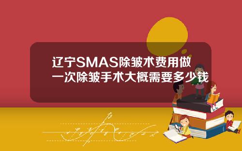 辽宁SMAS除皱术费用做一次除皱手术大概需要多少钱