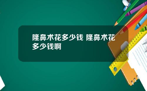 隆鼻术花多少钱 隆鼻术花多少钱啊
