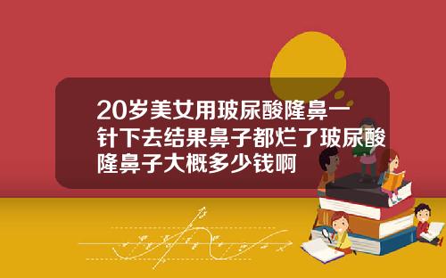 20岁美女用玻尿酸隆鼻一针下去结果鼻子都烂了玻尿酸隆鼻子大概多少钱啊