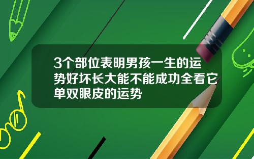 3个部位表明男孩一生的运势好坏长大能不能成功全看它单双眼皮的运势